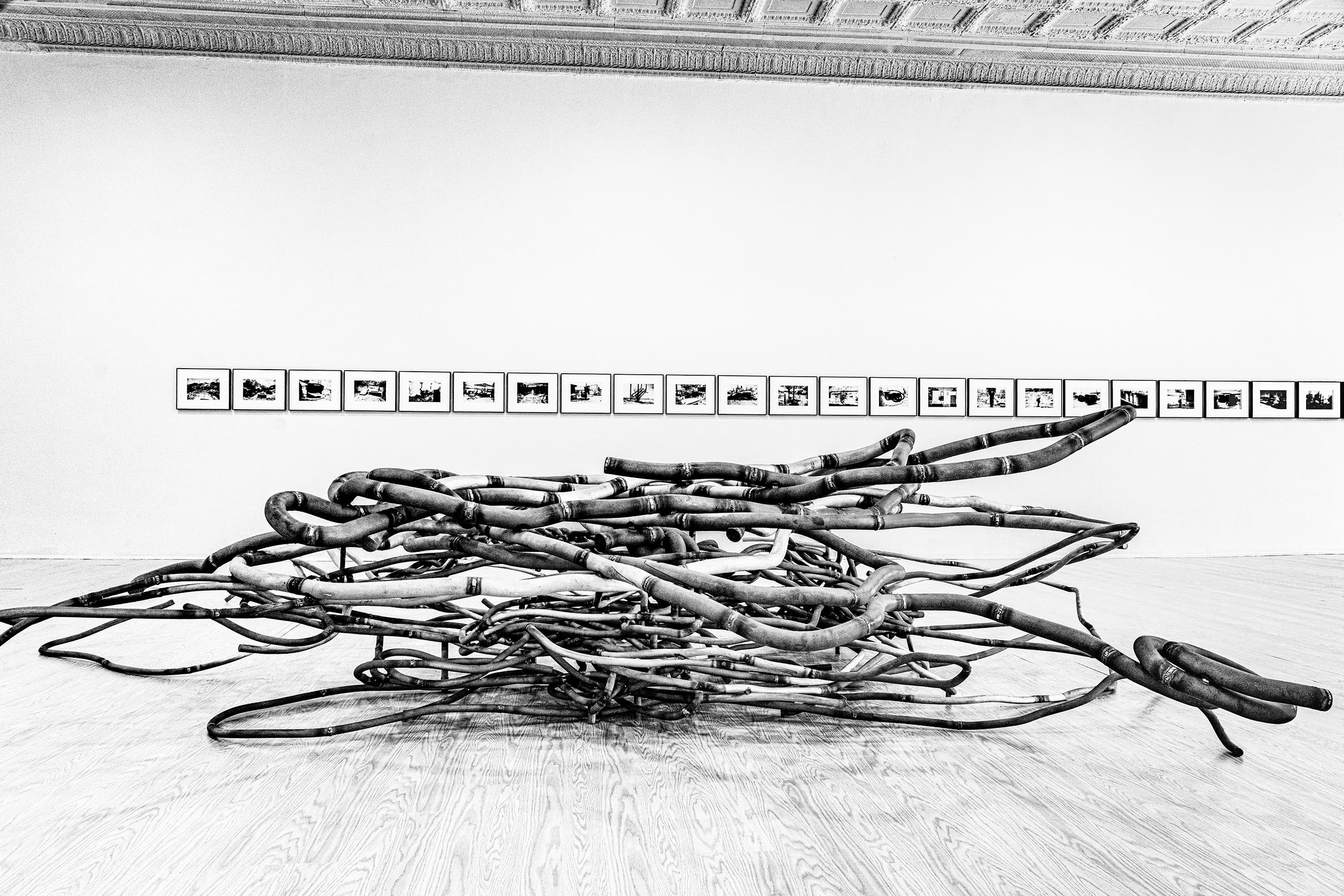 Artwork installed in the See Stop Run exhibition